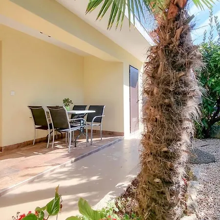 Fiore Three Novigrad Istria