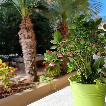 Fiore Three Apartamento