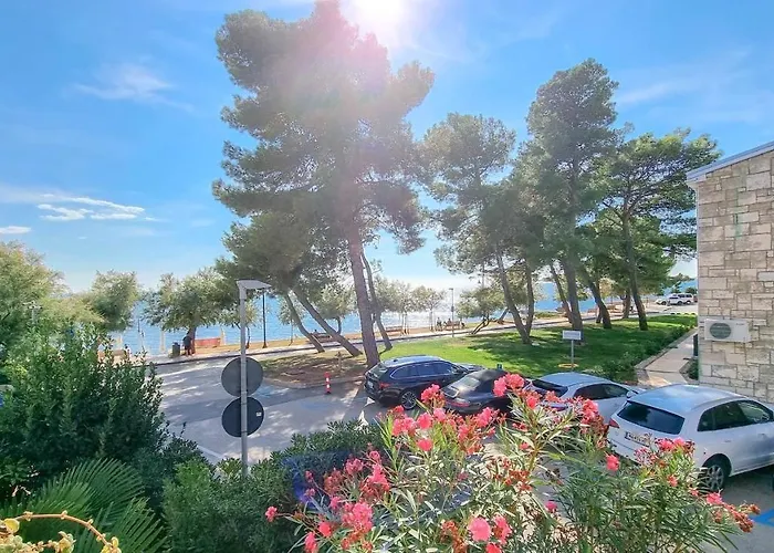 Fiore Three * Novigrad Istria