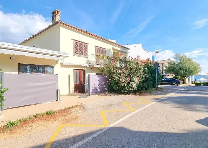 Fiore Three Novigrad Istria