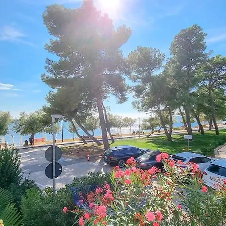 Fiore Three * Novigrad Istria